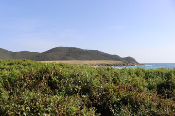 view of the coast of the sea