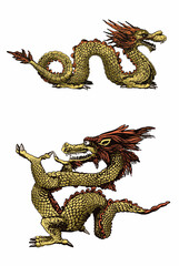 Fototapeta premium Graphical golden Chinese dragons isolated on white background,vector color illustration, mythology