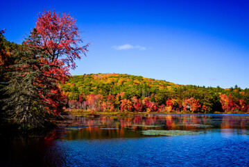 Colors of fall folliage over New Hampshire pond