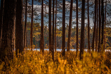 The mountain view is mesmerizing. The water elements such as lakes, waterfalls, or rivers highlight how the mountains have been shaped. 
The color change between autumn and spring is breathtaking!