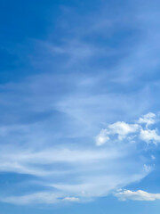 Obraz premium Clear and bright blue skies during the walk