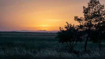 Sun over the horizon