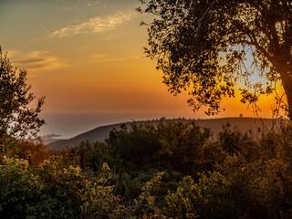 Sun over the horizon