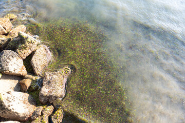 playa de toralla vigo detalles 2022