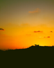 Sun over the horizon