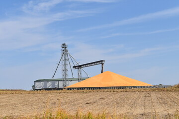 Pile of Corn by a Grain Elevator