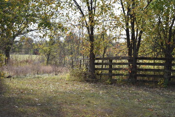 Wooden Fence in a Field