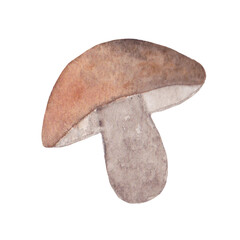 Watercolor forest brown mushroom. Boletus, cep. Illustration for design, print. The element is isolated on a white background. Natural, vegetarian food.