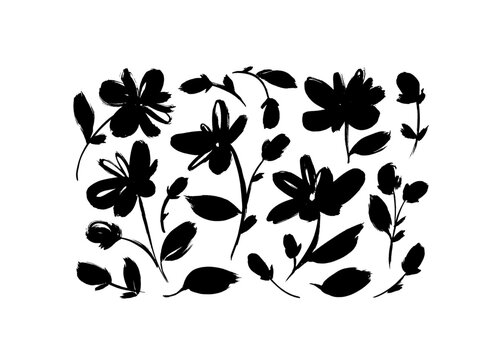 Chamomiles brush drawn flowers set. Roses, peonies, chrysanthemums isolated clip arts. Hand drawn black ink illustration. Flower silhouettes on stems with leaves. Sketch style stamp.
