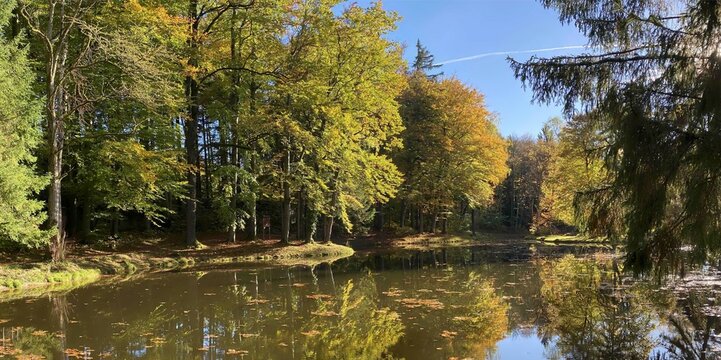 Herbstimmung Panoramabild
