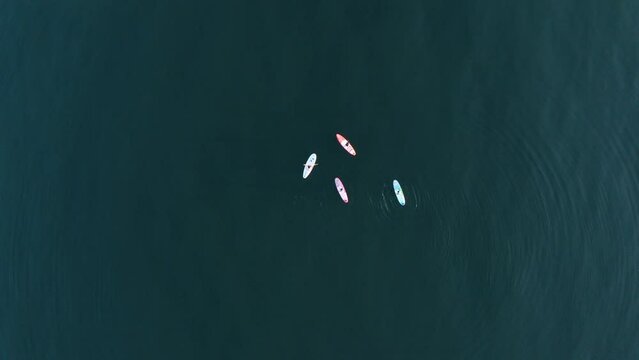 サップをする人々　瀬戸内海ドローン俯瞰撮影
