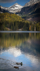 The mountain view is mesmerizing. The water elements such as lakes, waterfalls, or rivers highlight how the mountains have been shaped. 
The color change between autumn and spring is breathtaking!