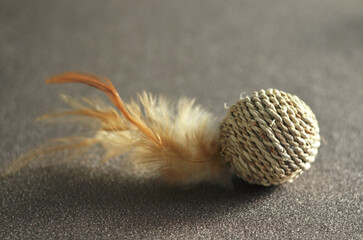 cat toy with a feather on a brown background