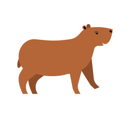 Capybara isolated. guinea pig Vector illustration