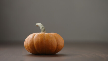 small orange pumpkin on walnut table with white and