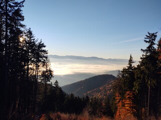 Mist inversion in the woods and mountains during autumn and winter. Slovakia