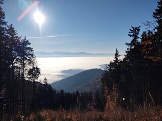Mist inversion in the woods and mountains during autumn and winter. Slovakia