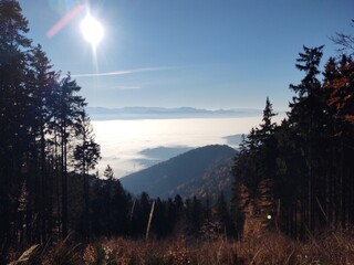 Mist inversion in the woods and mountains during autumn and winter. Slovakia