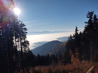 Mist inversion in the woods and mountains during autumn and winter. Slovakia
