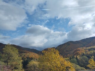 Autumn colorful leaves on the ground and on the trees. Slovakia
