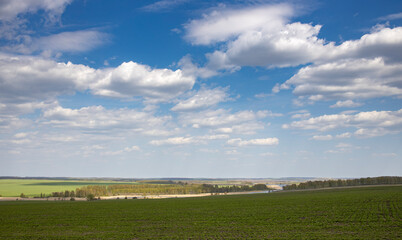 Sunlight through the clouds illuminates the young greenery of bushes and trees. Rural spring landscape with a river, clouds over the horizon.
