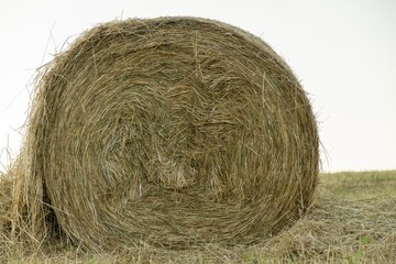 Hay bales and haystacks on the field during autumn. Slovakia