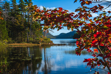 Fall in Acadia National Park, Maine.