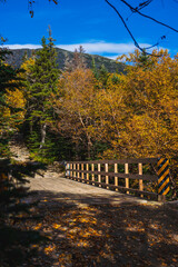 Hiking up Mount Washington in Fall!