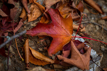 Fall in New England!