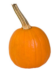 Isolated ripe orange pumpkin with stem