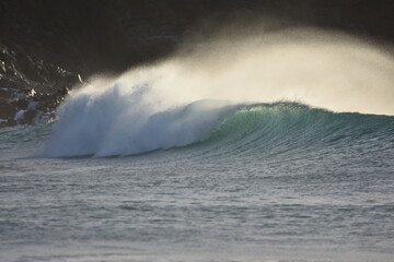 Naklejka premium paradise for surfing with perfect waes and barrels