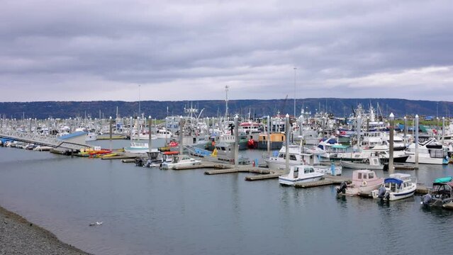 boat port harbor in alaska homer with lots of fishing boats and sailing boats