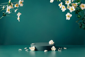 Podium, stand, showcase and delicate white flowers on dark teal background. Scene to show cosmetic...
