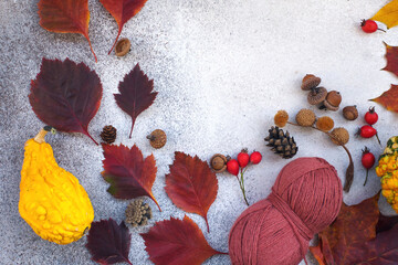 Autumn still life cozy composition with fallen leaves, pumpkin, cones and yarn
