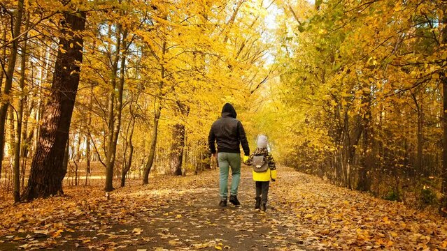 Family weekend. Father and son holding hands walk in the yellow autumn park background. Fathers day. The alley among the huge fall trees. Active lifestyle. Slow motion 4K. Bright colors fall season.