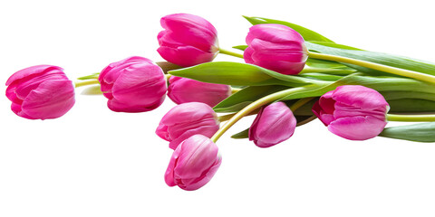 PNG, bouquet of pink tulips
