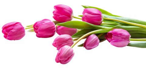 PNG, bouquet of pink tulips