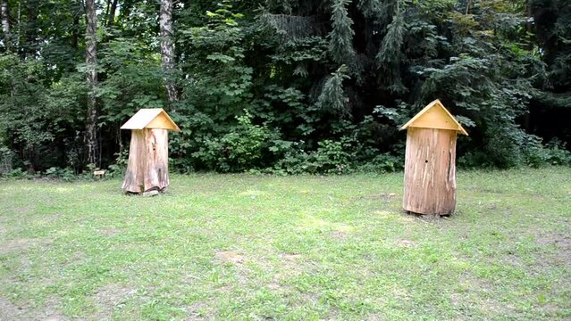 The model, a beehive for bees. City of Lviv, park.