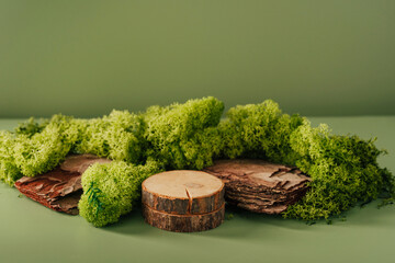Composition of bark tree and moss on warm green background. Abstract podium for organic cosmetic...