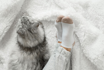 Women's legs in socks and warm gray pants on a white fluffy plaid, at home in a cozy autumn season. Rest at home after a hard day's work.