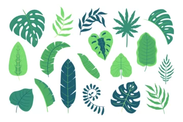 Zelfklevend Fotobehang Tropische bladeren Set of Green Tropical Leaves, Rainforest Decorative Elements, Summer Exotic Foliage Isolated on White Background