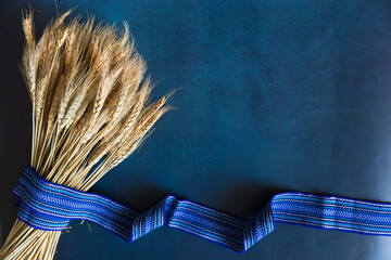 Yellow wheat and a blue ribbon. Ukrainian symbols concept