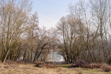 Fototapeta na wymiar Danube in winter