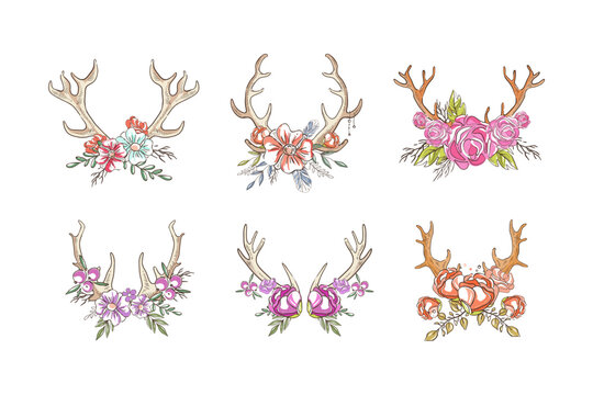 Beautiful Deer Antlers or Horns with Blooming Flowers Bouquet Vector Set