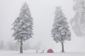 People in the Foggy Mountain Drone Photo, Winter Camping Season Kartepe Ski Center, Kocaeli Izmit, Turkey