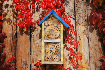 Insect house, bee hotel, bug home. Wooden structure on a wooden wall, autumn leaves in the background. Construction - shelter for insects.
