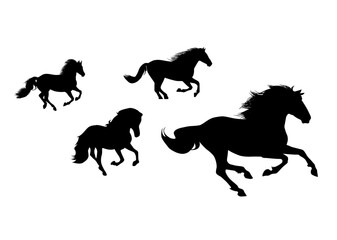 Wild Horses silhouette on white background