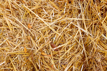 Background made up of a closeup of a square bale of hay