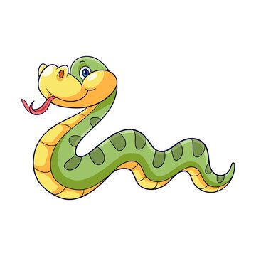 Cute green anaconda snake cartoon on white background