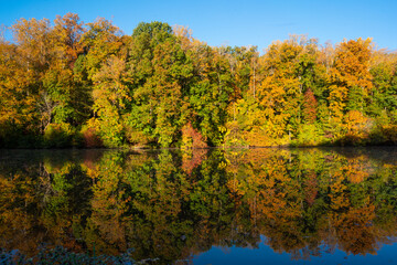 Autumn Reflections at Mallard Lake (Tanglewood)
